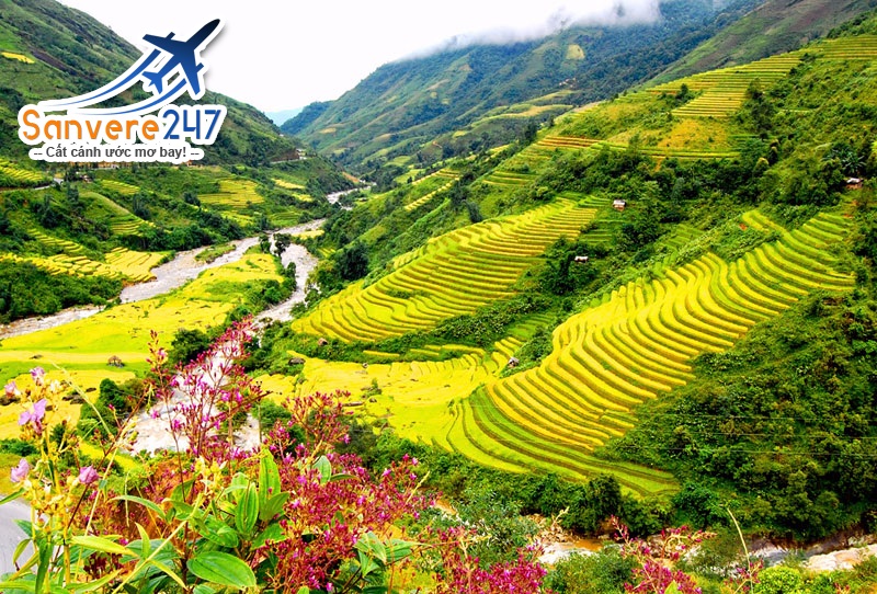 Du lịch Sapa: Cẩm nang từ A đến Z